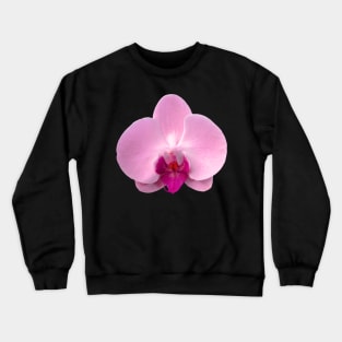 Orchid, Dorne Phalaenopsis in Light Pink Crewneck Sweatshirt